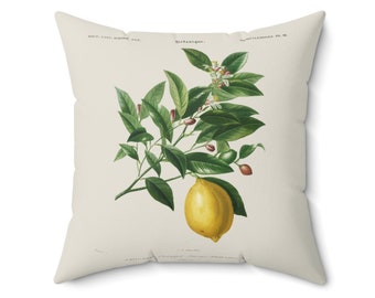 Vintage Botanical Throw Pillow, Decorative Cushion, Vintage Lemon Throw Pillow, Home Decor, Decorative Pillows