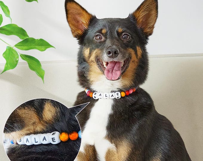Custom Beaded Pet Collar, Personalized Dog Name Necklace