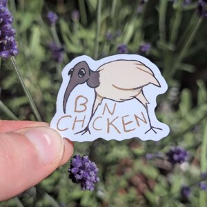 K&ouml;nnte beinhalten: Ein Aufkleber mit einer Cartoon-Illustration eines Ibisvogels mit dem Text "BIN CHICKEN" in Braun. Der Vogel hat einen beigen K&ouml;rper, einen schwarzen Kopf und Schnabel sowie d&uuml;nne Beine. Der Aufkleber wird vor einem Hintergrund aus lila Blumen gehalten.