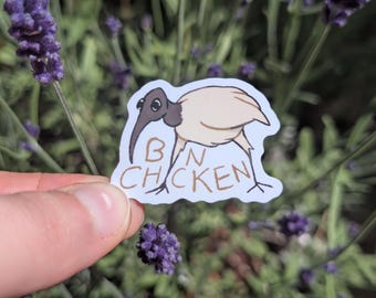 Bin Chicken (ibis) sticker