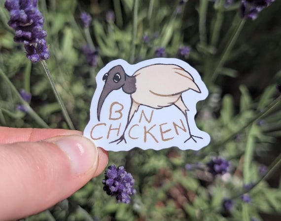 Bin Chicken (ibis) sticker