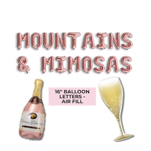 Mountains & Mimosas Champagne Brunch Bridal Shower Bachelorette Decorations Hen Party Whimsical Coquette Bachelorette Party Decoration