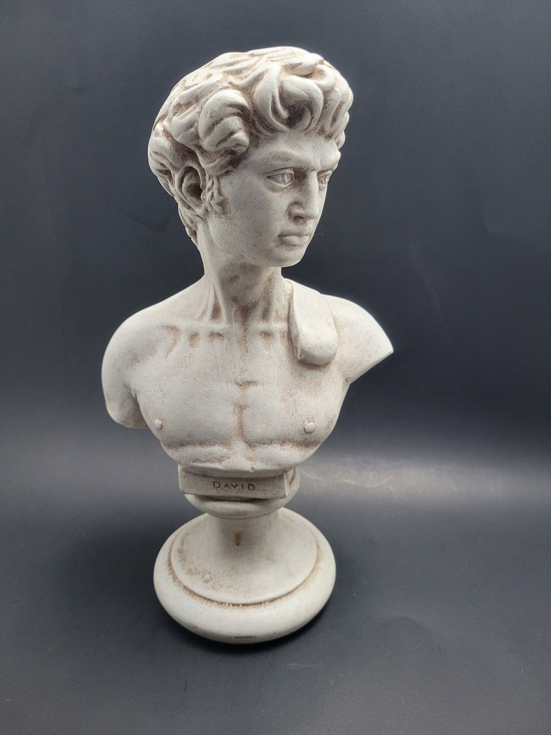 David Statue/ Bust 12 Michelangelo Greek / Roman Art Etsy