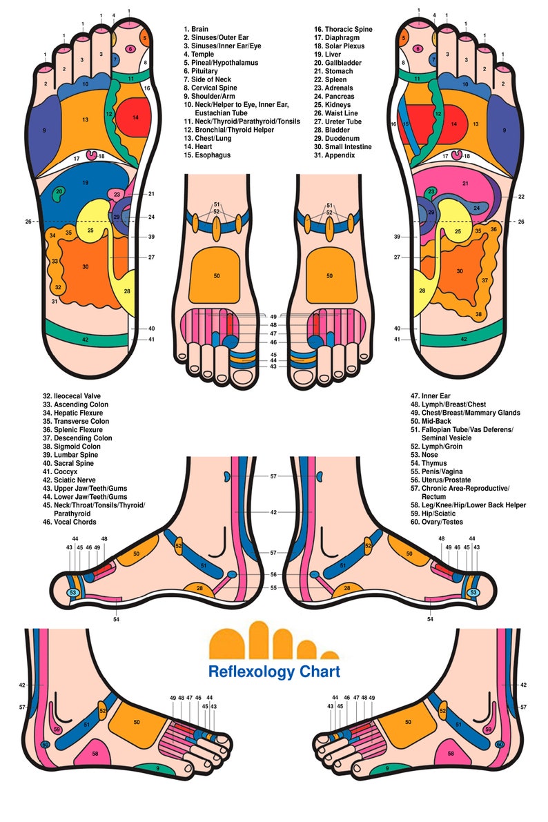 Foot Reflexology Chart Poster Health Knowledge Diagram Etsy