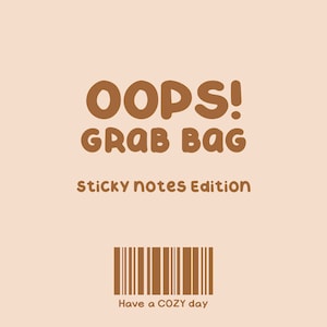 OOPS GRAB BAG - Sticky Notes Edition - Dekoratives Memo und Notizen - Schreibwaren - Kawaii Memo Pad / Sticky Note / Sticky Notes