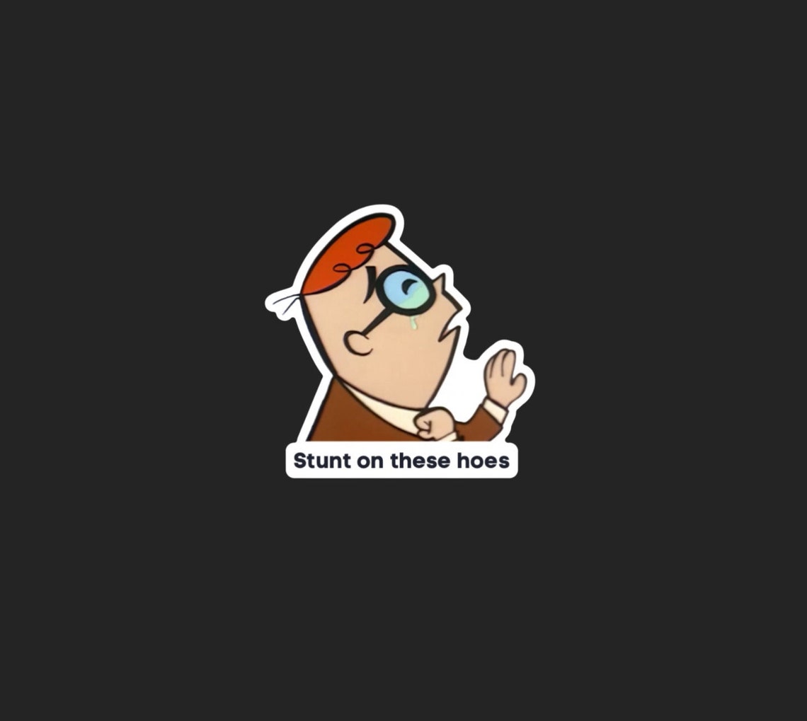 Meme Sticker, Stunt on These Hoes Meme, Funny Water Bottle Sticker Meme Sticker, Stunt on These Hoes Meme, Funny Water Bottle Sticker