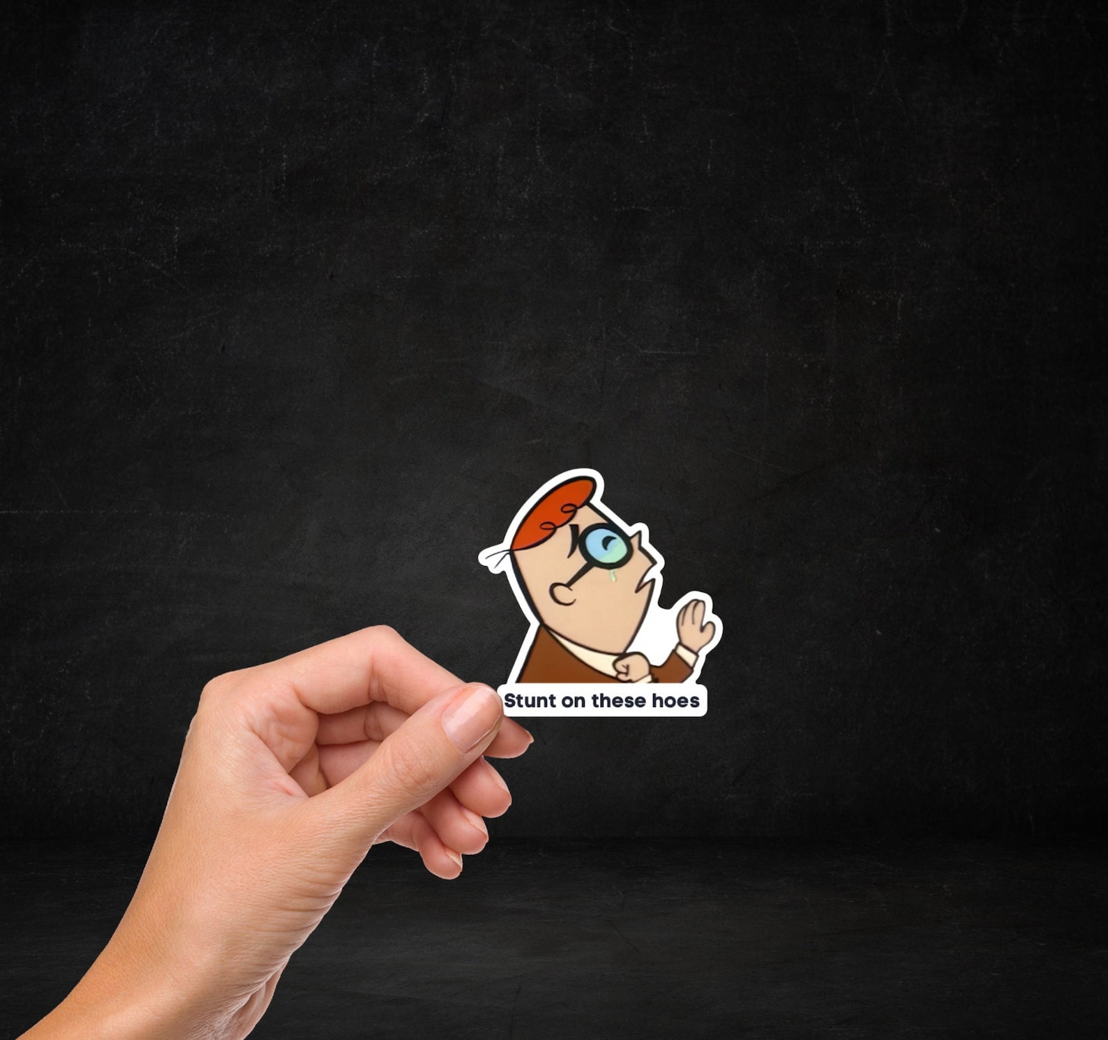 Meme Sticker, Stunt on These Hoes Meme, Funny Water Bottle Sticker