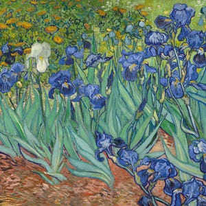 Könnte beinhalten: Ein impressionistisches Gemälde eines Gartens mit blauen Iris, grünen Blättern und gelben und weißen Blumen. Die Iris, mit ihren blauen Blütenblättern und gelben Zentren, stehen im Mittelpunkt. Das Gemälde hat einen strukturierten Pinselstrichstil.