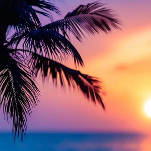 Op de afbeelding: Silhouet van een palmboom tegen een levendige zonsondergang. De lucht gaat over van paars naar oranje, met de zon die weerspiegelt op de oceaan. Een tropisch, schilderachtig uitzicht.