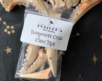 Crab Claw Tips - Bone Magic - Dungeness Claw Tips