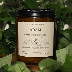 Adam | Book Candle | Raven Boys Candle | The Raven Cycle | Pet-Friendly Candle | Handmade Candle | 7.5 oz