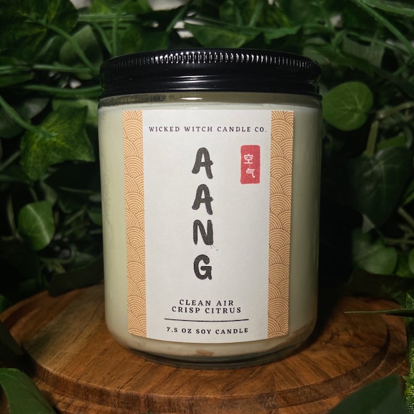 Aang | Avatar the Last Airbender Candle | Avatar the Last Airbender | Pet-Friendly Candle | Handmade Candle | 7.5 oz