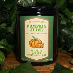 Pumpkin Juice | Book Candle | Handmade Candle | Pet-Friendly Candle | 7.5 oz