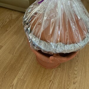May include: A terracotta tagine cooking pot with a lid, wrapped in clear plastic with a purple ribbon.