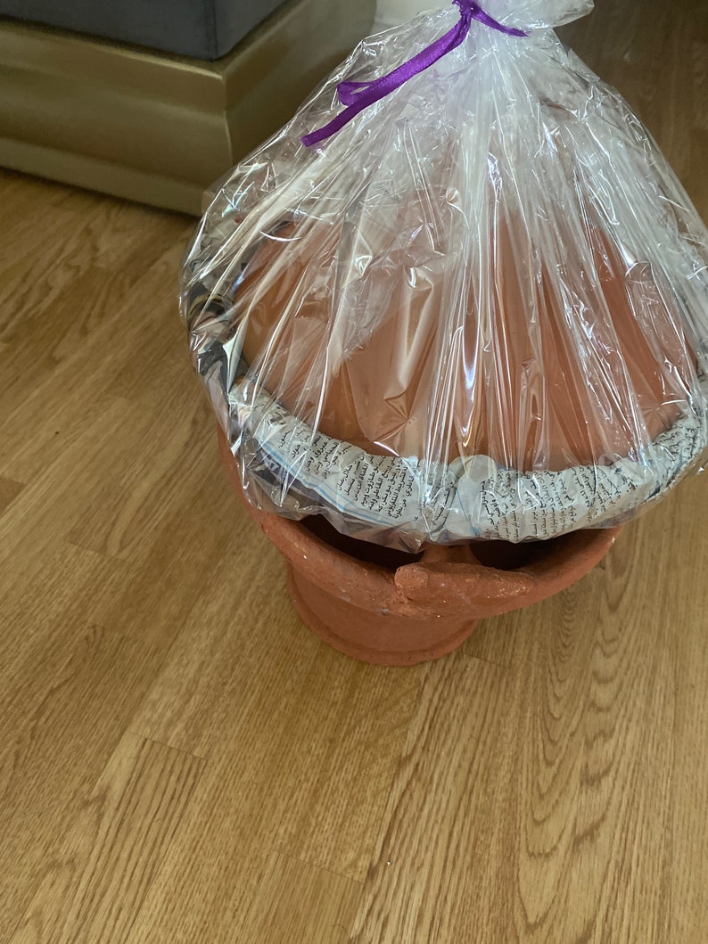 May include: A terracotta tagine cooking pot with a lid, wrapped in clear plastic with a purple ribbon.