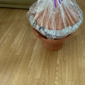 May include: A terracotta tagine cooking pot with a lid, wrapped in clear plastic and tied with a purple ribbon.