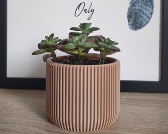 Indoor Wood Plant Pot - 3D Printed Planter - Flowerpot - Ideal Gift for Home or Plant Lover