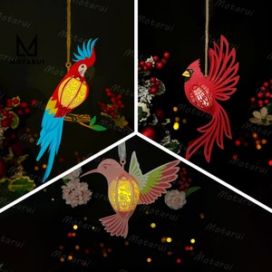 Pack 3 verschiedene Vogel Laternenlampe für Wohnkultur, Tier Laterne SVG für Cricut Projekt DIY, Tier Shadow Box