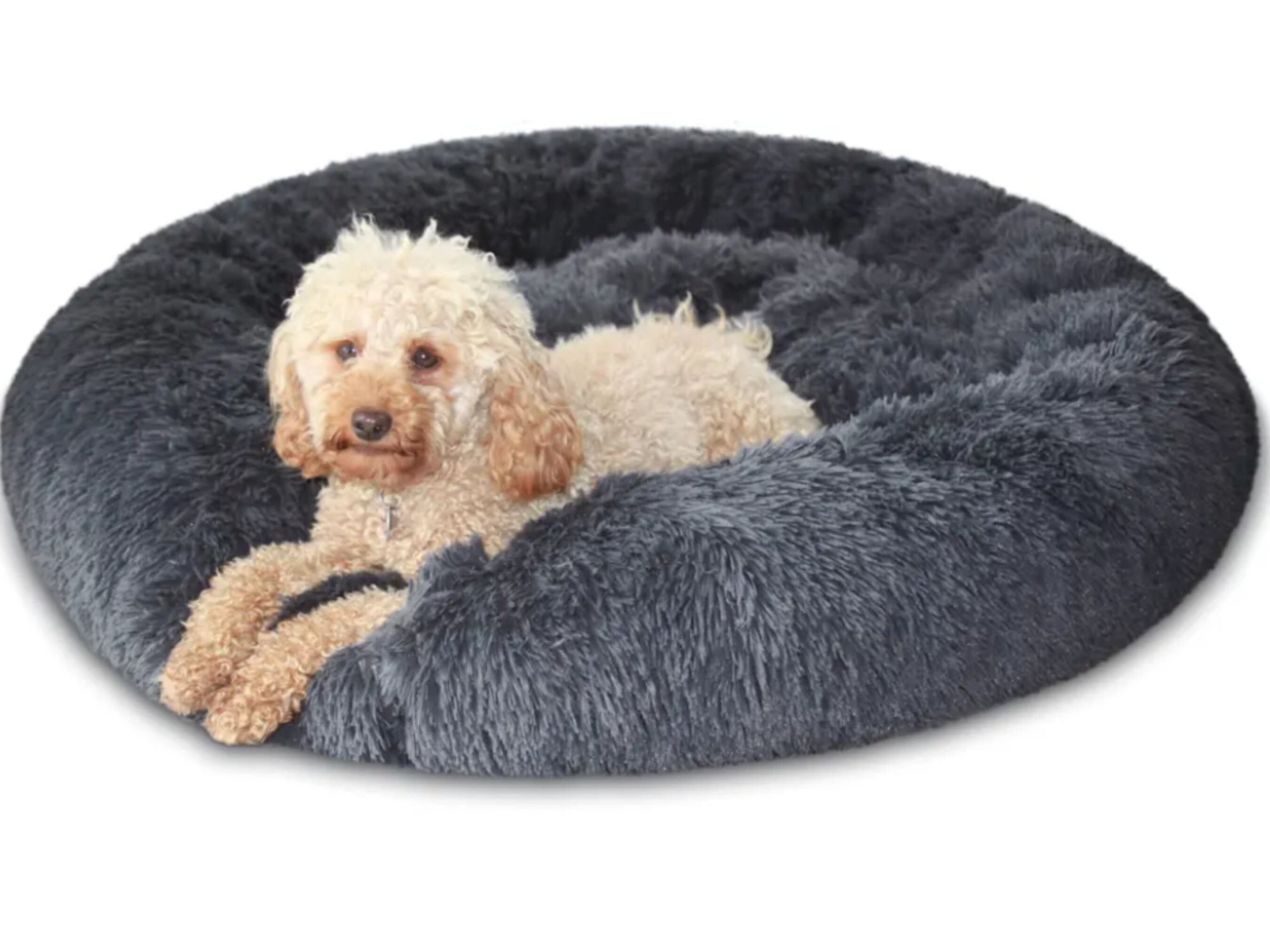 Fluffy Dog Bed Etsy