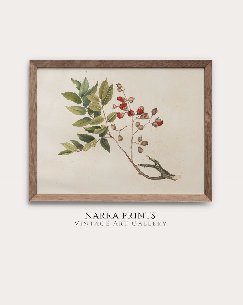 Printable Vintage Gallery Wall Art SET Warm Aesthetic Decor Etsy Canada