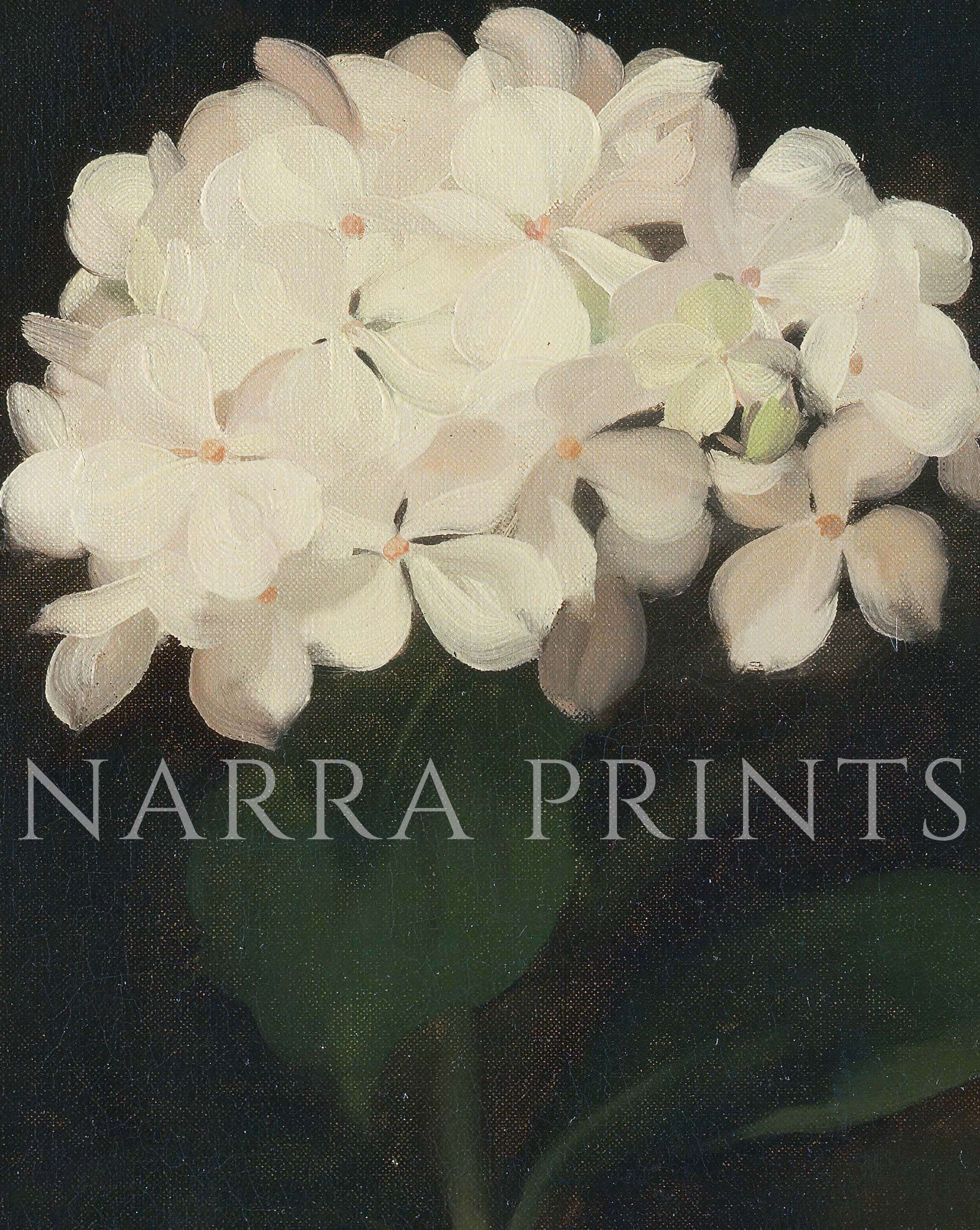 Dark Academia Flower Print, White Hydrangea Oil Painting, Moody Floral ...