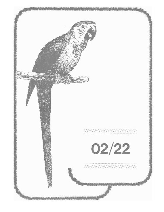 Singer Sewing Machine Model 02 22 - Instruction User Manual