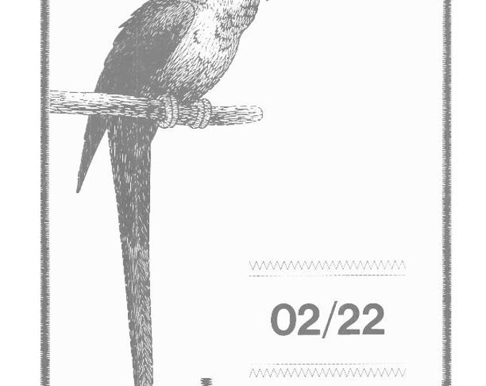 Singer Sewing Machine Model 02 22 - Instruction User Manual