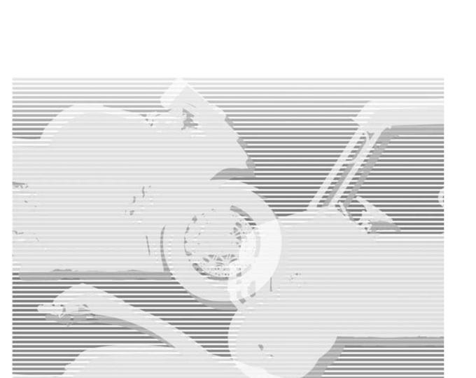 Kawasaki 2017 2018 2019 - KX250F  KX250 - Workshop Service Repair Manual - KX252AK KX252AJ KX252AH