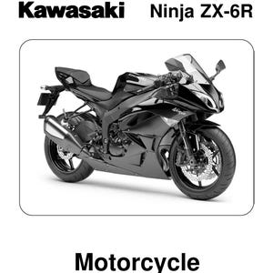 Kawasaki Ninja ZX-RR Inspired Hoodie - Motorcycle Sweatshirt