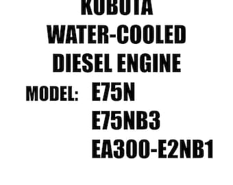 Motor diésel Kubota refrigerado por agua - Manual de piezas de repuesto - E75N E75NB3 EA300-E2NB1