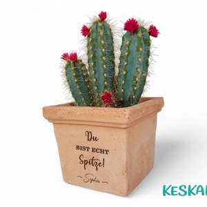 Könnte beinhalten: Ein Terrakotta-Topf mit einer Kakteenpflanze und rosa Blüten. Der Topf ist mit dem Text "Du bist echt Spitze!" und "Sophia" graviert.