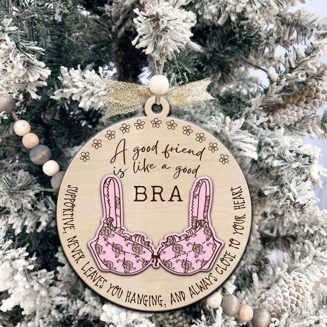 Funny Cute a Good Friend is Like a Good Bra Christmas Ornament, Gift