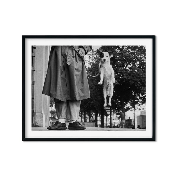 Jumping Dog par Elliott Erwitt, vintage Dogs Print, Photography Print, Black White Photo Print, Lifestyle Print, Museum Quality Photo Print