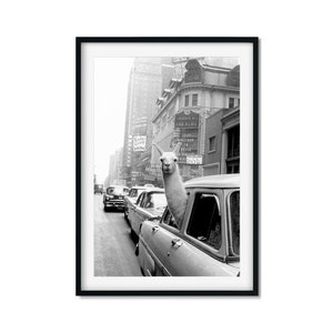 Llama in Times Square, New York, 1957, Print, Llama Poster, Black and White, Vintage Photography, Fashion Print, Llama Wall Poster, Vintage