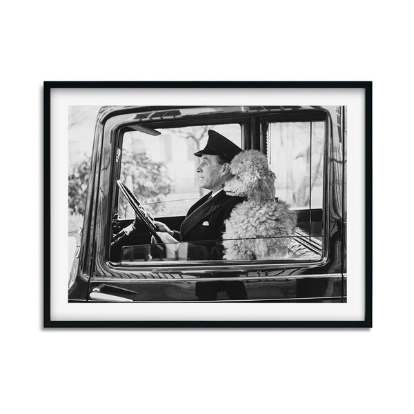 Impression de caniche dans une voiture, art mural noir et blanc animal drôle, impression vintage, tirages de photographie, impression d'art photo de qualité musée