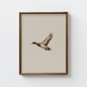 Watercolor flying duck wall art in vintage wildlife style with neutral tones, farmhouse nursery printable bird digital download.