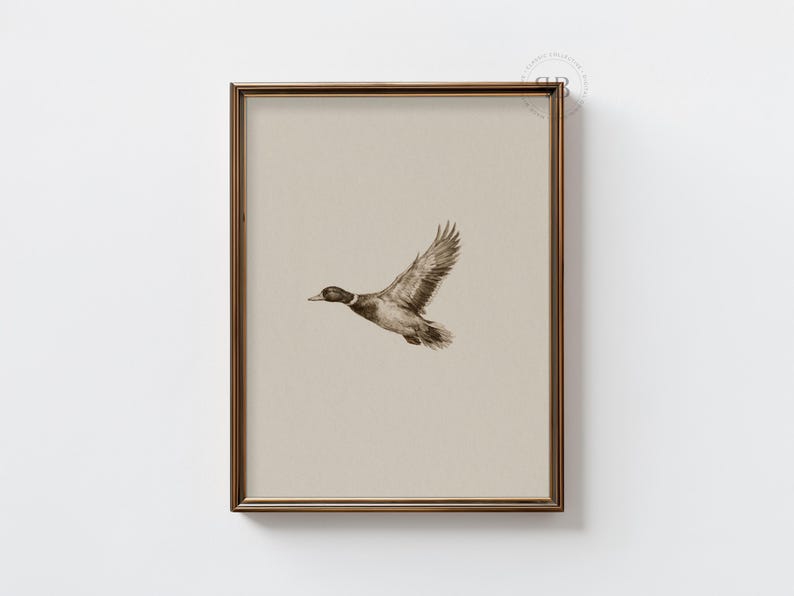 Watercolor flying duck wall art in vintage wildlife style with neutral tones, farmhouse nursery printable bird digital download.
