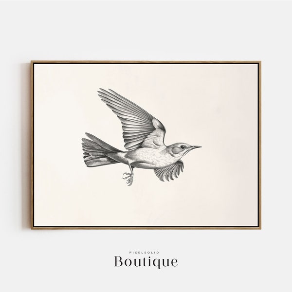 Mockingbird Sketch, Neutral Bird Illustration Print, Bird Art Decor, Flying Bird Drawing, Minimalist Bird Art Print, Printable Art, No.386