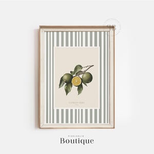 Botanical Lime Wall Art Printable, French Citrus Illustration Digital Download, Kitchen Decor Artwork, Vintage Style No.574