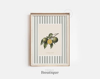 Botanical Lime Wall Art Printable, French Citrus Illustration Digital Download, Kitchen Decor Artwork, Vintage Style No.574