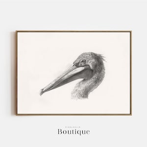 Pelican Sketch, Neutral Bird Illustration Print, Coastal Bird Decor, Nautical Bird Drawing, Minimalist Bird Art Print, Printable Art, No.373