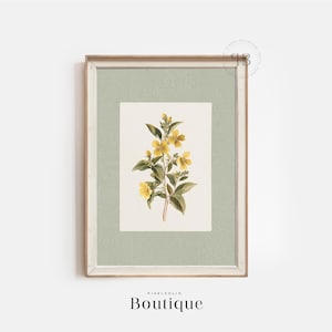 Yellow Botanical Print, Vintage Style Flower Illustration, Floral Wall Art Digital Download, Antique Nature Decor, Kitchen Artwork, No.702