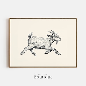 Goat Art Print, Farm Animal Illustration, Rustic Wall Decor, Goat Drawing, Wildlife Art,Nursery Wall Art, Black and White Poster, No.433