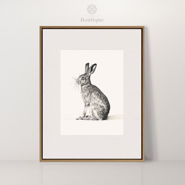 Old-fashioned Etching of Rabbit, Antique Art, Soft Decor For Rustic Farmhouse, Fine Art for Bedroom, Black and White Etching, No.094