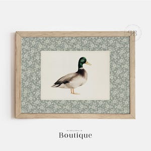 Stockente Ente Wandkunst, Bauernhaus Vogel Illustration Digital Download, Tierdekor für Küche oder Kinderzimmer, Vintage Stil Druck, No.734