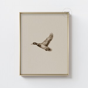 Watercolor flying duck wall art in vintage wildlife style with neutral tones, farmhouse nursery printable bird digital download.