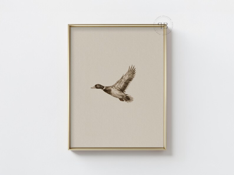Watercolor flying duck wall art in vintage wildlife style with neutral tones, farmhouse nursery printable bird digital download.