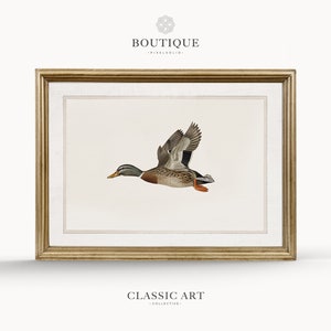 Mallard Duck
Flying Bird Illustration
Farmhouse Wall Decor
Bird Drawing
Minimalist Art
Hunting Decor
Wildlife Print