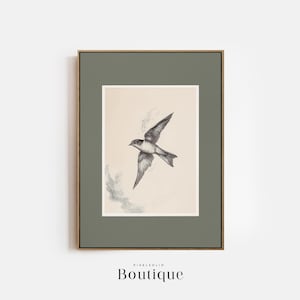 Lámina de pájaro veloz: ilustración de golondrina en blanco y negro para amantes de la naturaleza, decoración de pared de estilo antiguo, decoración de arte para el hogar de estilo rústico, n.º 480