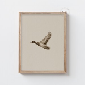 Watercolor flying duck wall art in vintage wildlife style with neutral tones, farmhouse nursery printable bird digital download.